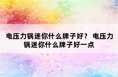 电压力锅迷你什么牌子好？ 电压力锅迷你什么牌子好一点